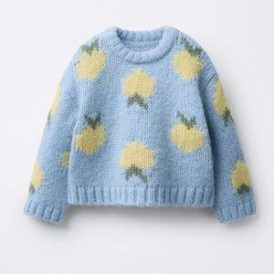Zara FRUIT PRINT KNIT JUMPER